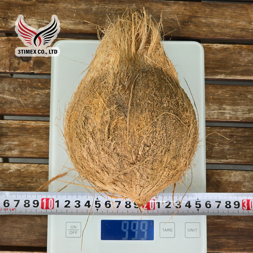 Dừa khô nguyên trái